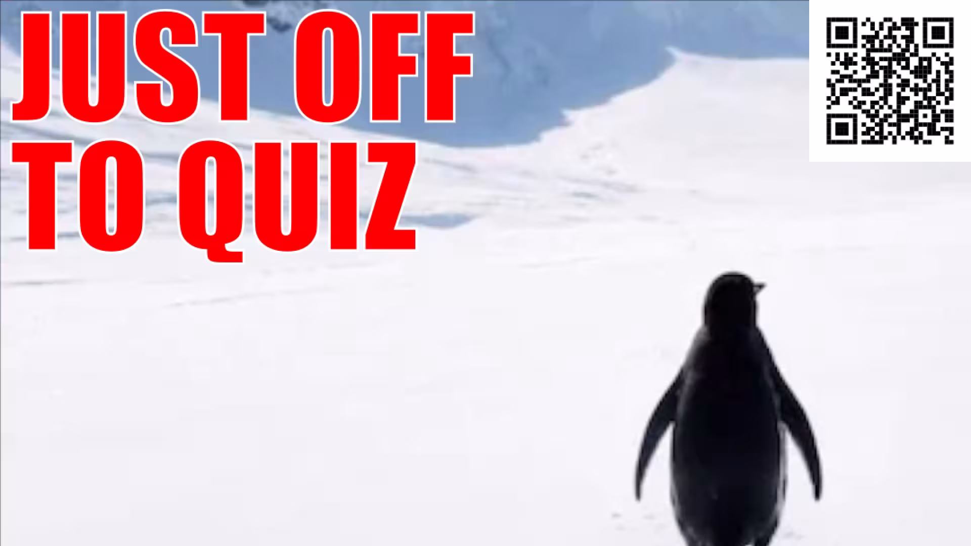 Lonely penguin walking off into the ice - caption: JUST OFF TO QUIZ